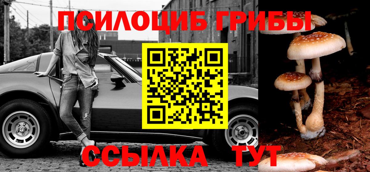 Псилоцибиновые грибы Psilocybe Миасс